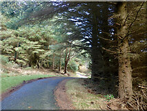 J3630 : Access road to the Drinnahilly Transmitter by Eric Jones
