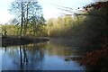 Mist on the Nidd