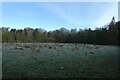 Fields on the banks of the Nidd