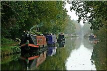 SJ8710 : Canal south of Lapley in Staffordshire by Roger  D Kidd