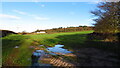 Eddisbury Way running N from New Pale Rd, Manley