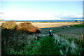 Footpath to Blackhall Rocks