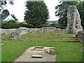 Thetford Cluniac priory [4]