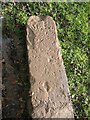 Old Boundary Marker in Bayton Common