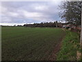 Field boundary at the end of Careswell Gardens