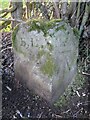 Old Boundary Marker on Bayton Pit Road