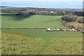 Valley view from Chiselbury