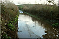 Puddle near Higher Beara Cross