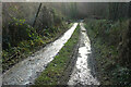 Bridleway, Lower Combe