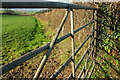 Gate and field near Higher Penn