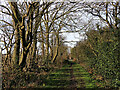 Footpath towards Colton Hills School, Wolverhampton