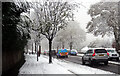 Toller Lane, Bradford