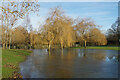 Frozen flooding by the River Thames