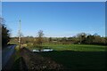 Hedgerow along B6161