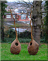 Alexandra Park :  "Sisters" willow sculptures