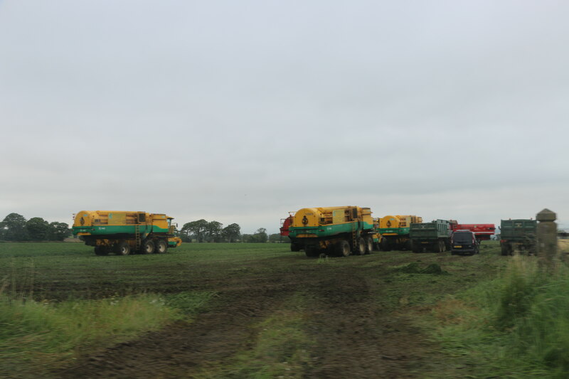 Pea harvesters at work near Balkellie,... © Adrian Diack :: Geograph ...