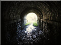 Buxton Road Tunnel, Furness Vale