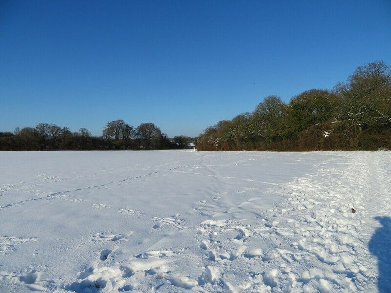 Lower Field (29.5 acres) © Mr Ignavy :: Geograph Britain and Ireland