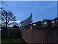 TF0820 : Lincolnshire flag by Bob Harvey