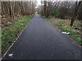 Tarmac path through Wishawhill Wood