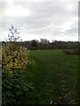 Goal Posts in Recreation Ground