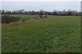 Footpath to Westbury Farm