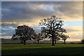 View across fields