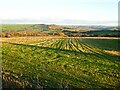 Stubble field above Higher Park Farm