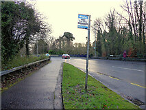H4772 : Footpath along Donaghanie Road, Campsie by Kenneth  Allen