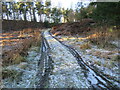 Snow in Ash Dale