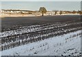 Snow covered farmland north of Waggon Lane