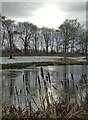 View over one of the large ponds in Fountain Dale