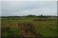 Farmland beside Lady Lane