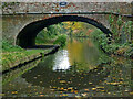 Autumn at Marsh Lane Bridge in Fordhouses