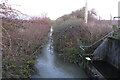 Ouzel Brook by the sewage works