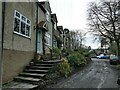 Houses on Cabin Road