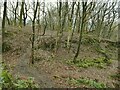 Path through Pool Bank quarries