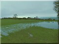 Waterlogged field by Staircase Lane