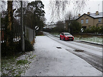 H4772 : Light snow along Riverview Road, Cranny by Kenneth  Allen