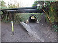 On part of the Rea Brook Walk under Bage Way