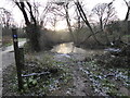 On part of the Rea Brook Valley Walk in Shrewsbury