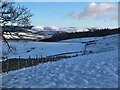 NT2338 : Winter on Cademuir by Jim Barton