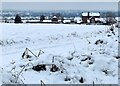 Low Habberley Farm in the snow