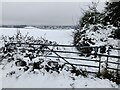 Gate at Low Habberley Farm