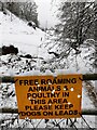 Snow in the Honey Brook valley