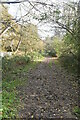 Tunbridge Wells Circular Walk link Path