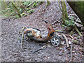 Burnt-out moped in an old railway cutting near Coryton