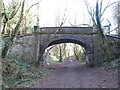 Bridge over former railway line near Coryton