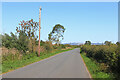 Road near Fiddington