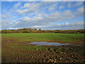 Autumn sown crop and Beacon Heights